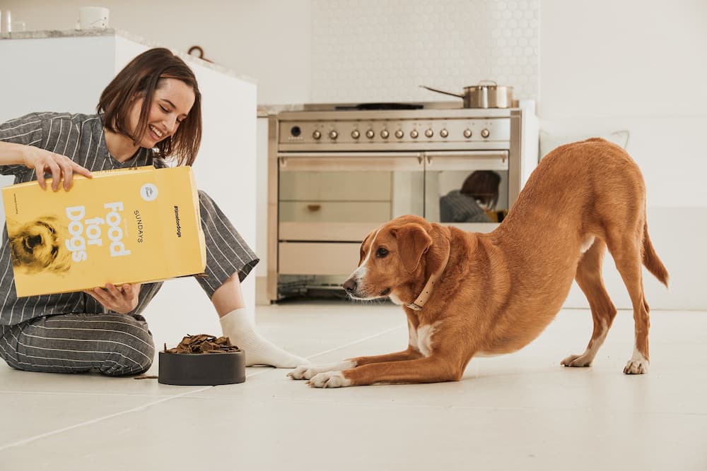 Sundays for Dogs air-dried dog food