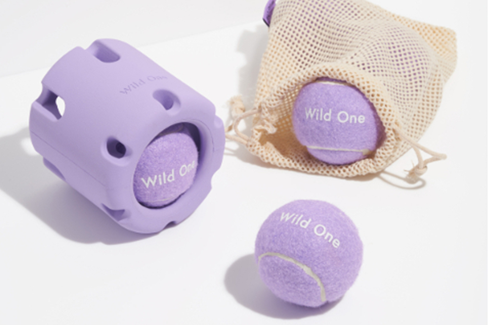 Wild One Tennis Tumble Dog Toy