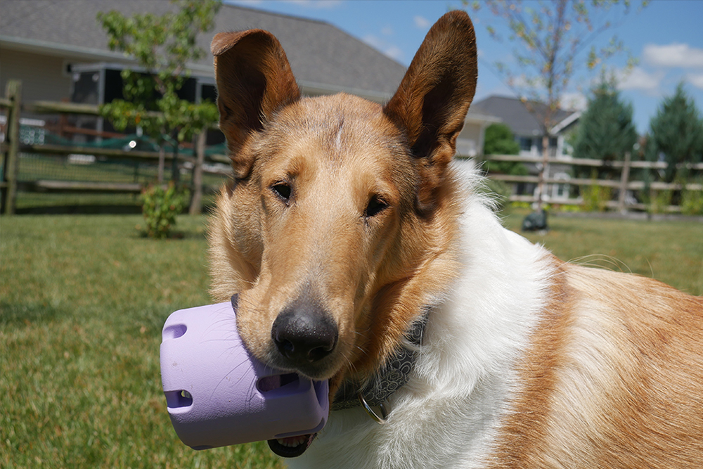 Tennis Tumble Puzzle Toy For Dogs