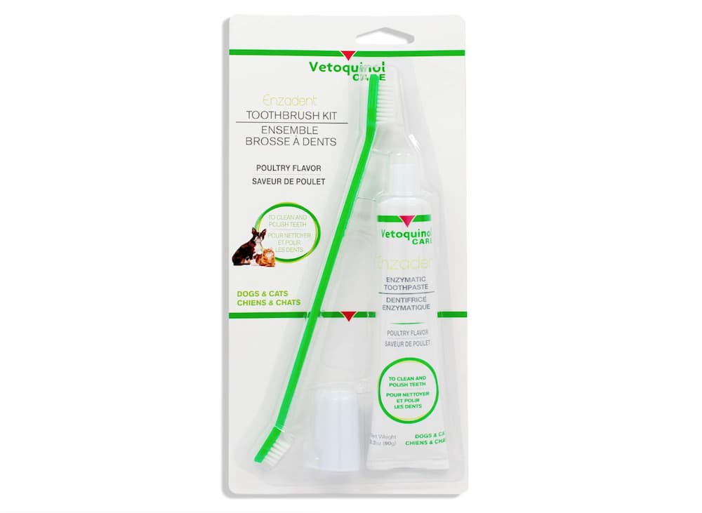 Vetoquinol Enzadent Enzymatic Toothpaste Kit