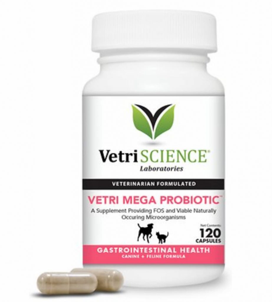 VetriScience Vetri Mega Probiotic Capsules Digestive Supplement for Cats & Dogs - prebiotics for dogs