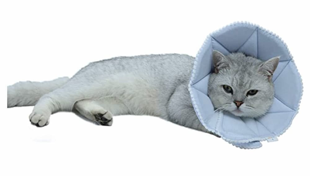 WZ PET Adjustable Dog Cat Cone,Soft Recovery Cat Cone Alternatives