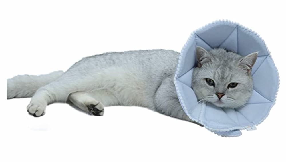 in Hand Adjustable Pet Recovery Collar Comfy Cat Cone Soft Edge