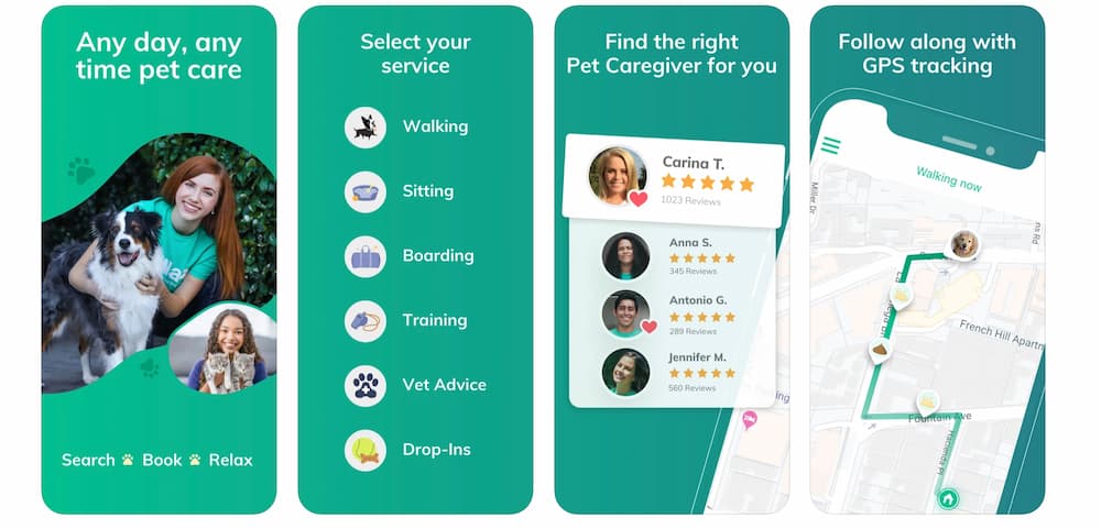 Wag app for pet sitting services