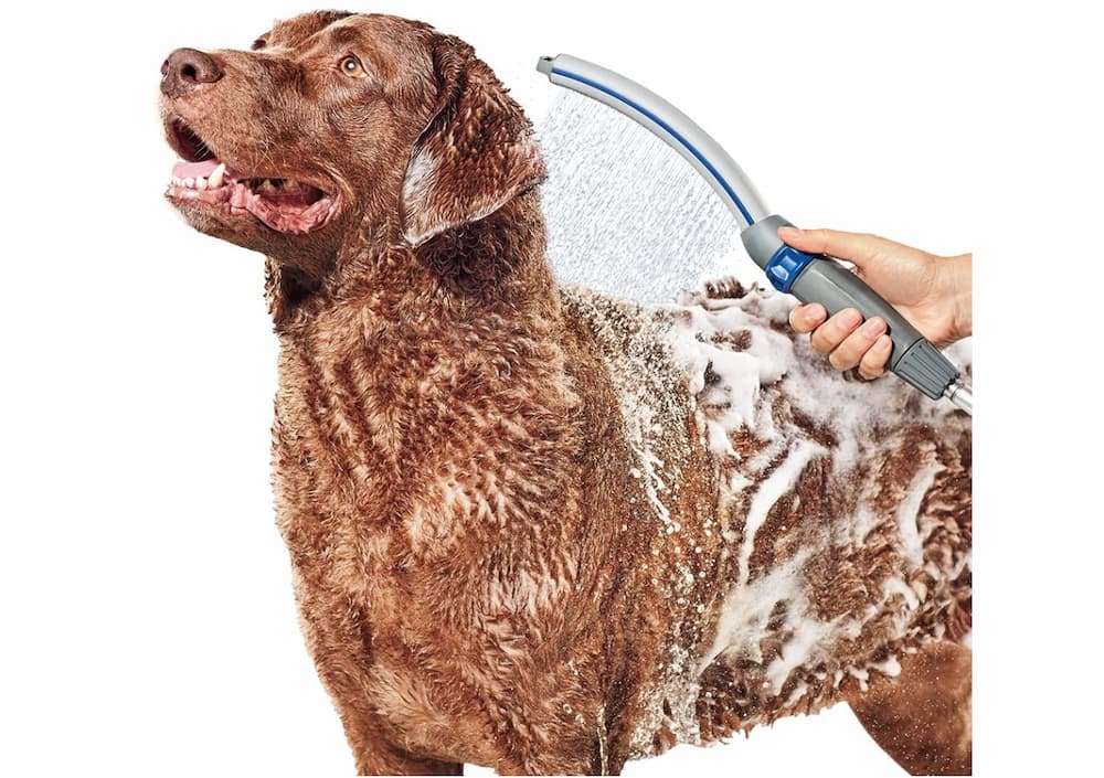 Waterpik Pet Wand Dog Shower Spray Attachment