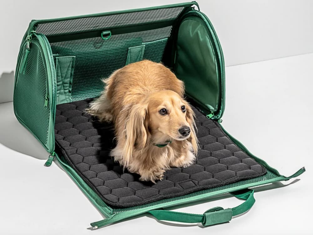 The Best Dog Crates for Car Travel 2024 - Long Haul Trekkers