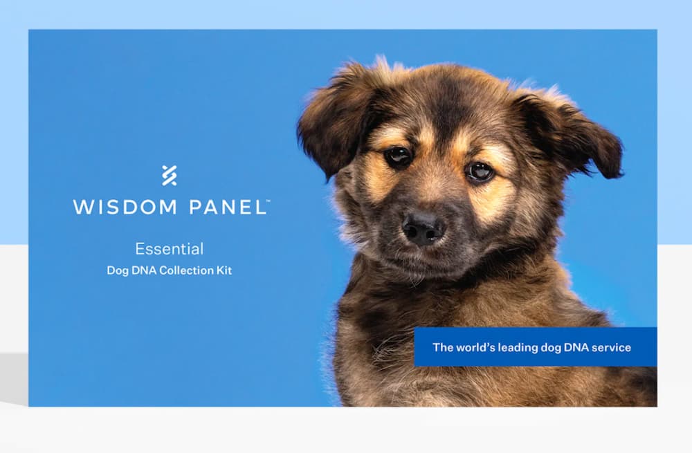 Wisdom Panel Essential dog dna tests