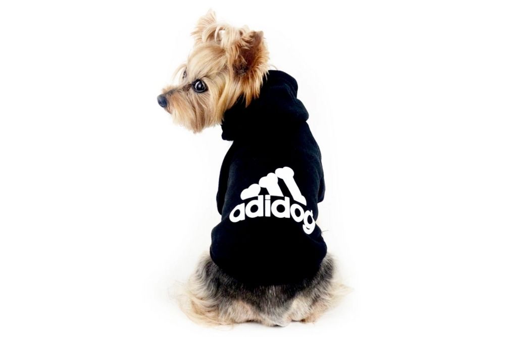 black dog hoodie