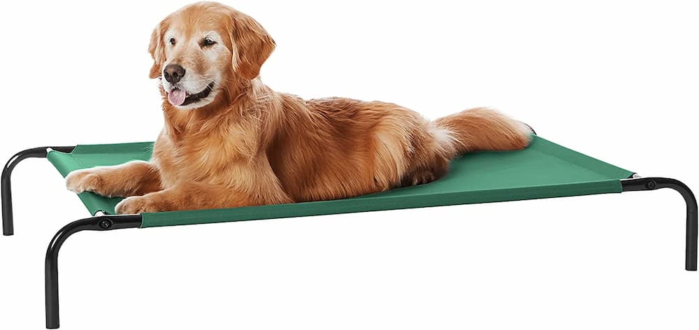 Amazon Basics Elevated Dog Bed