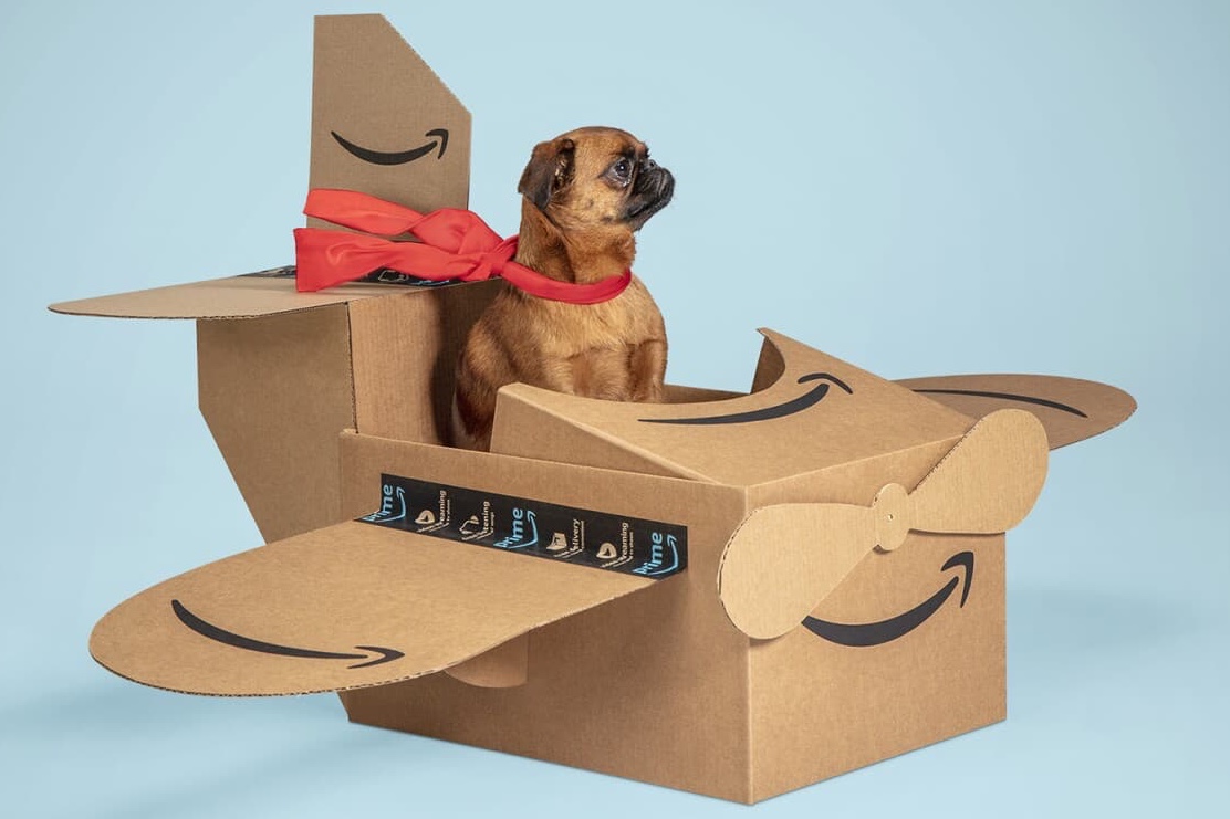 Amazon Pet Day 2022 is Live: See the Best Deals