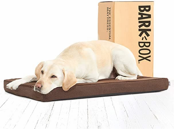 Barkbox orthopedic dog bed