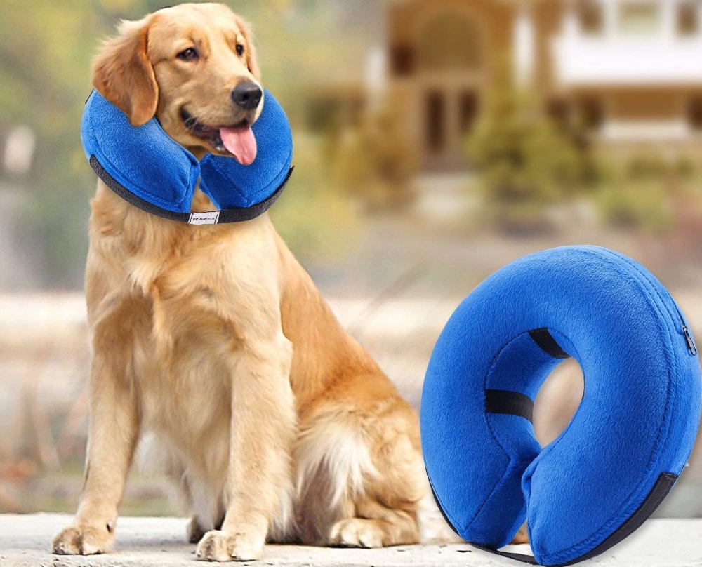 Benchmate Inflatable Dog Collar