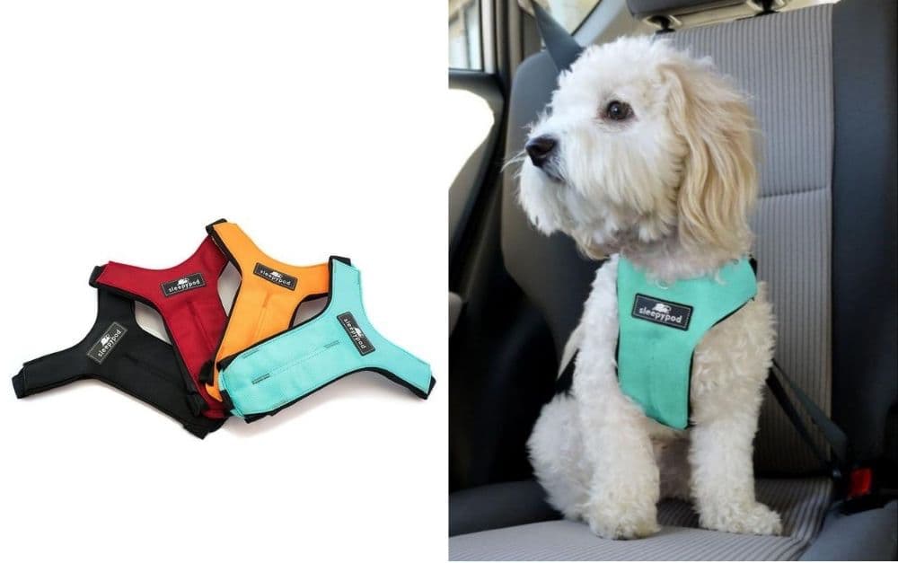 Sleepypod Clickit Sport dog harness
