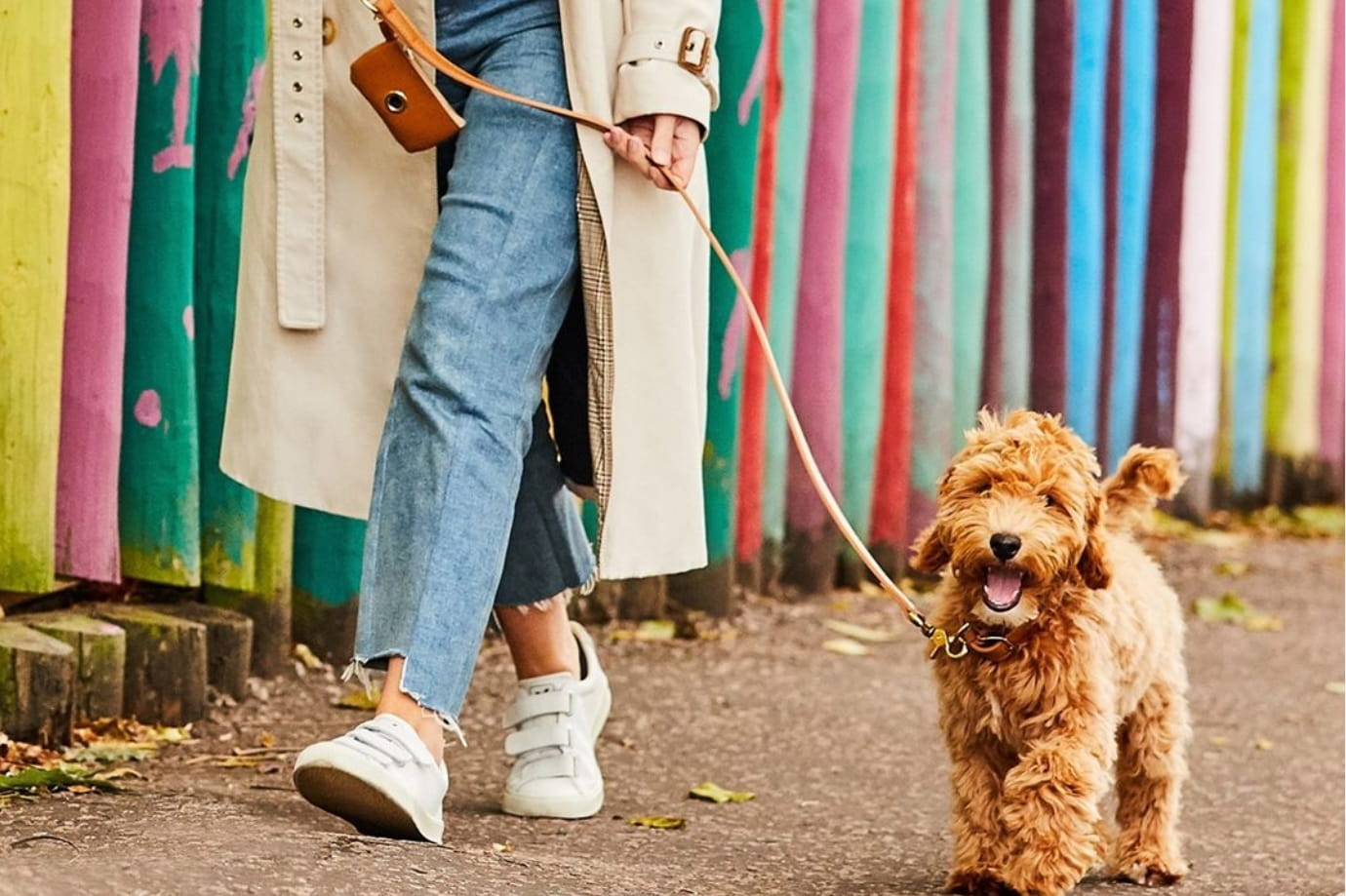 Dog Waste Bag Holder Collegiate 