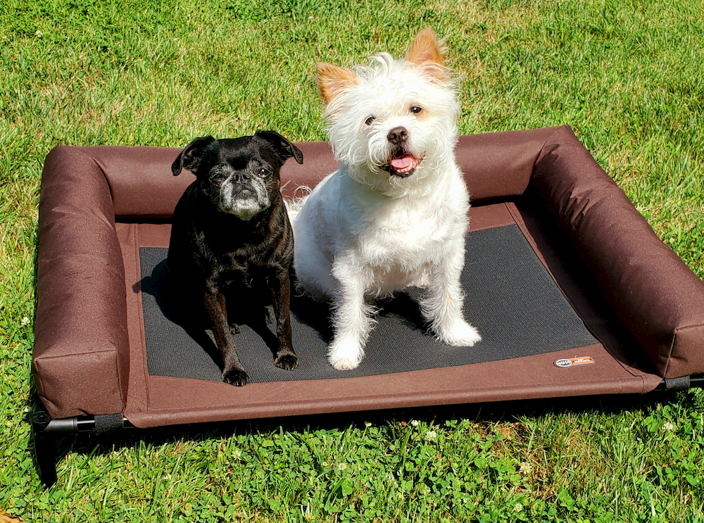 K&H elevated dog bed