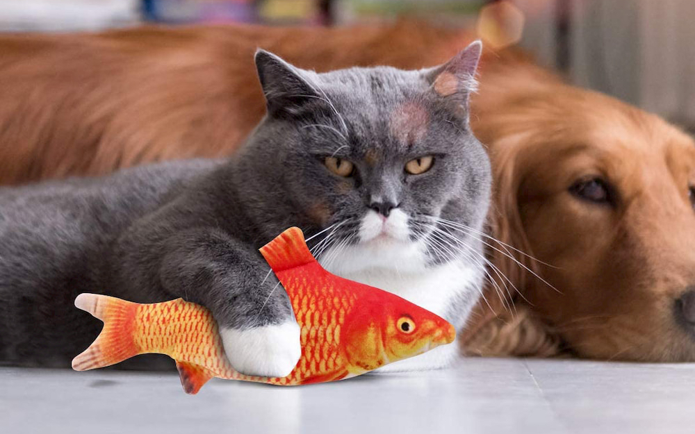 Beewarm cat fish toy