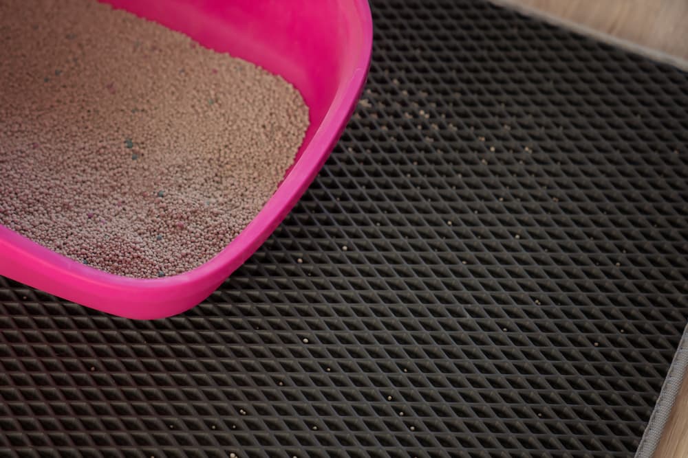 8 Best Cat Litter Mats to Prevent Mess - Vetstreet