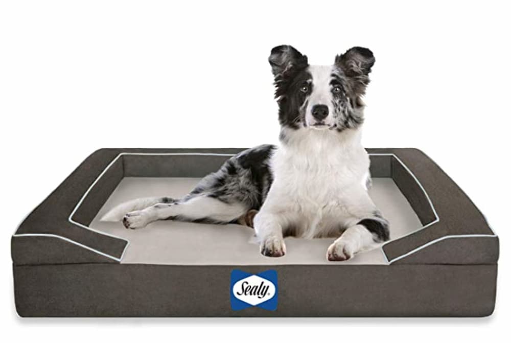 Dog laying in Sealy cooling gel dog bed