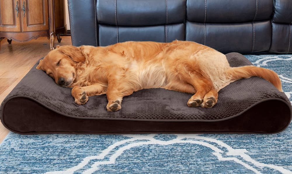 Dog laying down on plush cooling gel dog bed