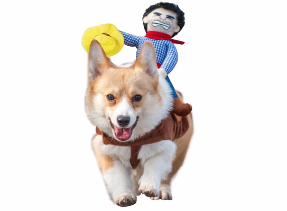 Cowboy dog costume