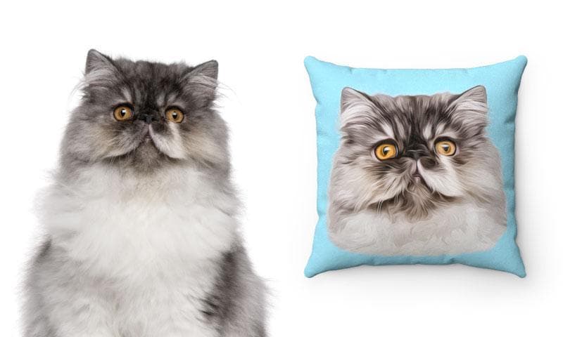 https://www.vetstreet.com/wp-content/uploads/2023/05/custom-pet-throw-pillow-1_85feeafa-a1f3-4e2e-8b44-3c7b9b04c48a_2048x.jpg