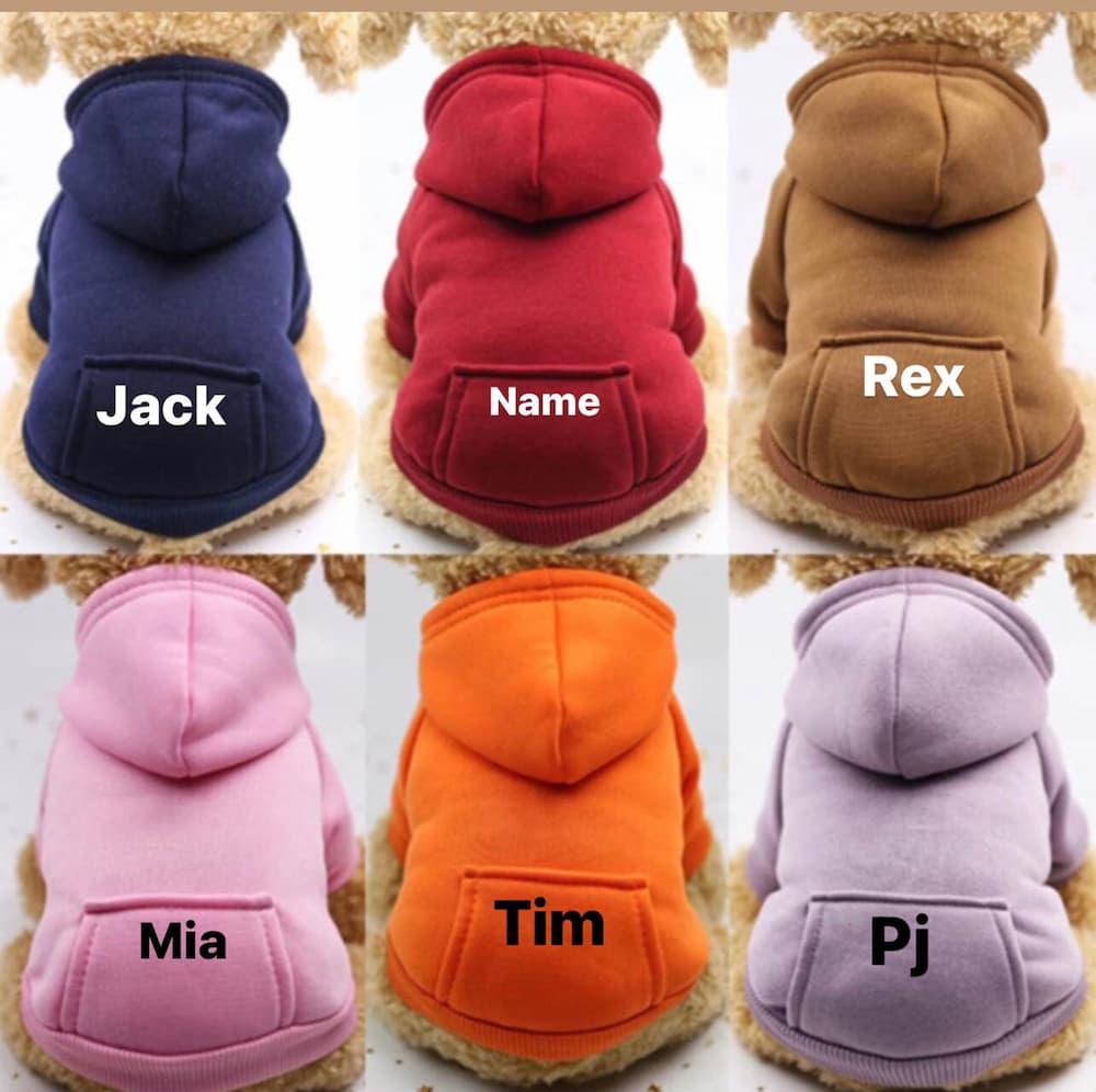 Personalized dog hoodies
