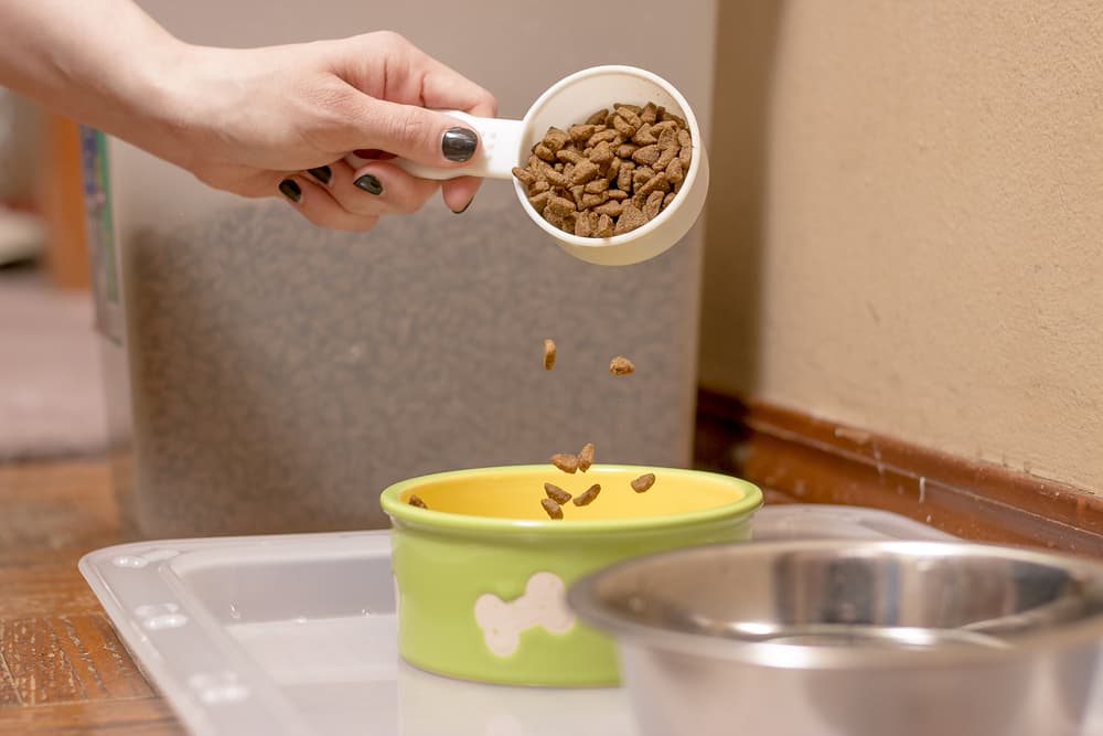 Pouring pet food into a ceramic dog bowl