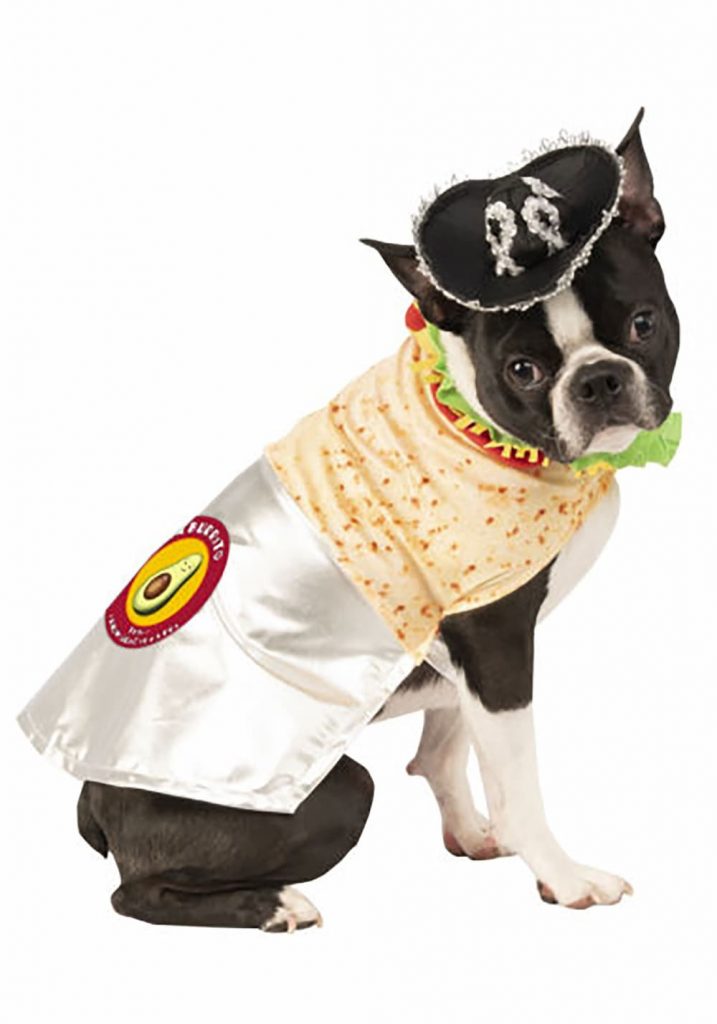 Burrito dog Halloween costume