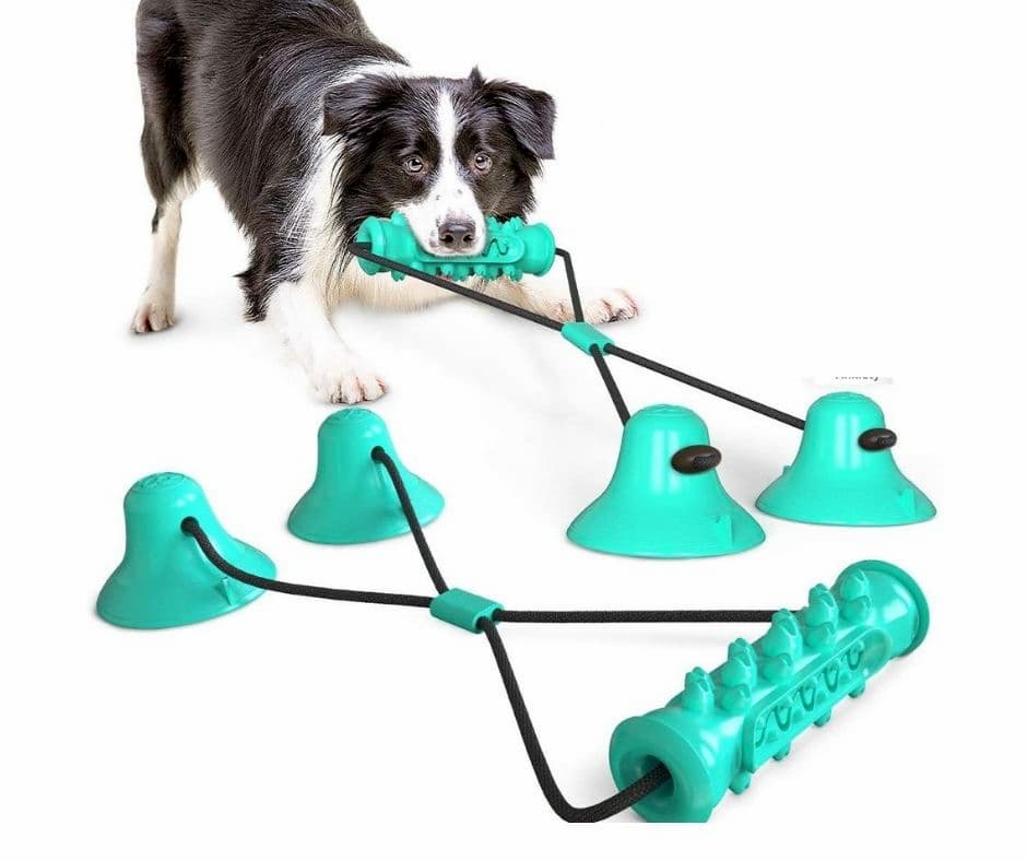 Vister Molar Stick Chew Toy