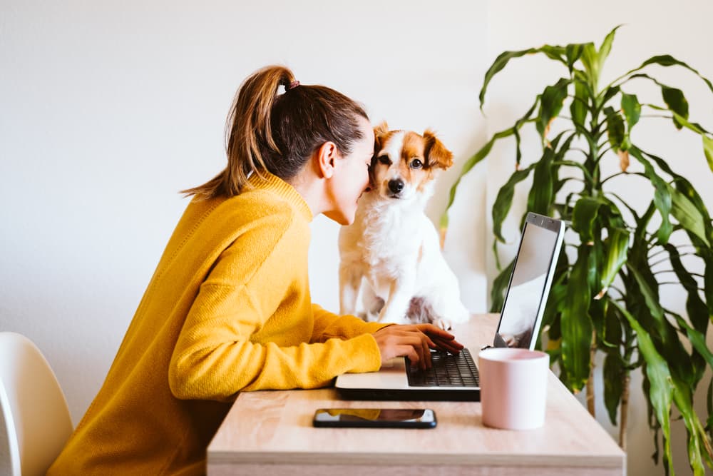 Owner with dog next to their laptop