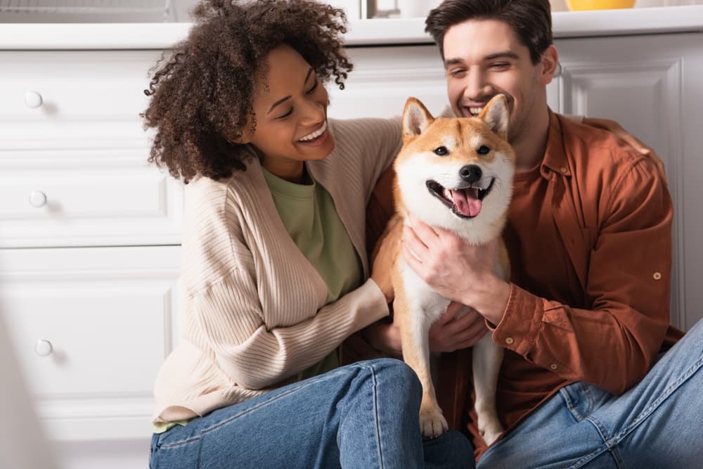 Couple in kitchen with their dog