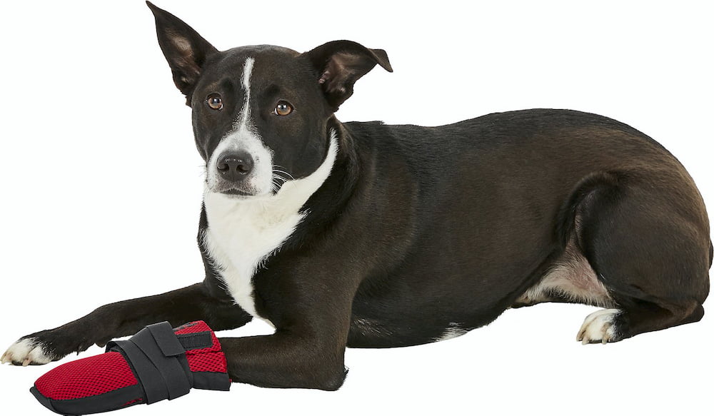 Ultra Paws Wound Dog Boot