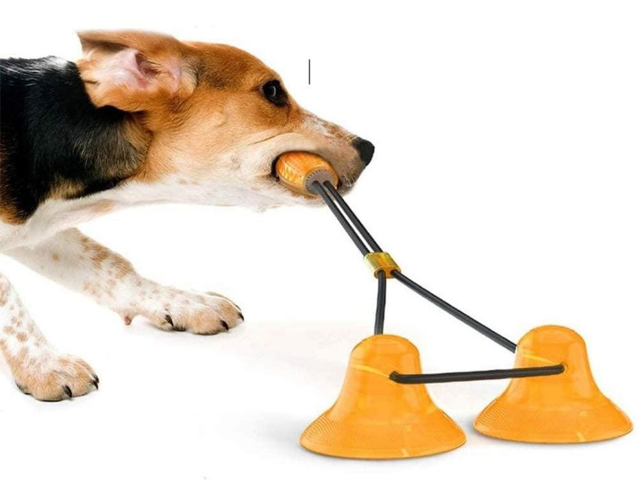 5 Fun Suction-Cup Dog Toys to Keep Canines Busy - Vetstreet