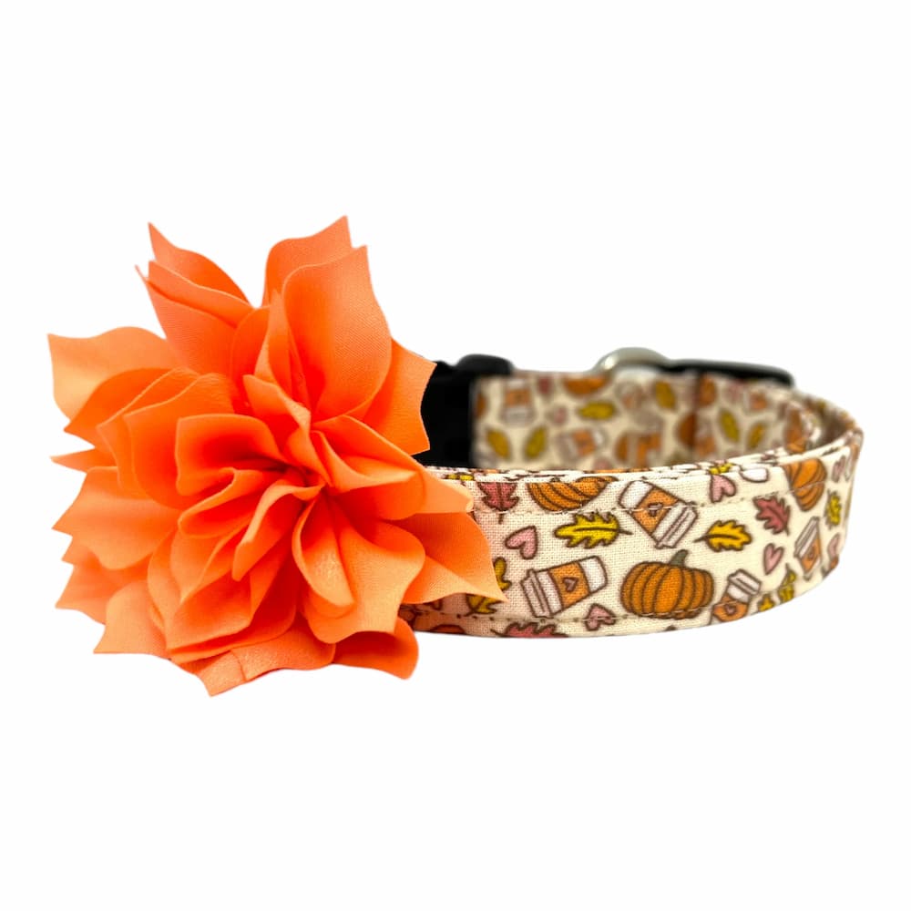 Fall pumpkins dog collar