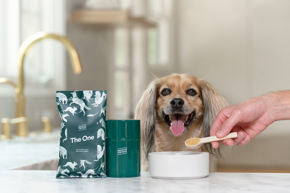 White tea extract powder manufacturer White tea extract powder manufacturer