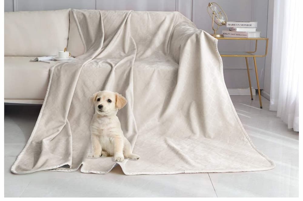 fuguitex Dog Blanket Bed Cover Dog Crystal Velvet