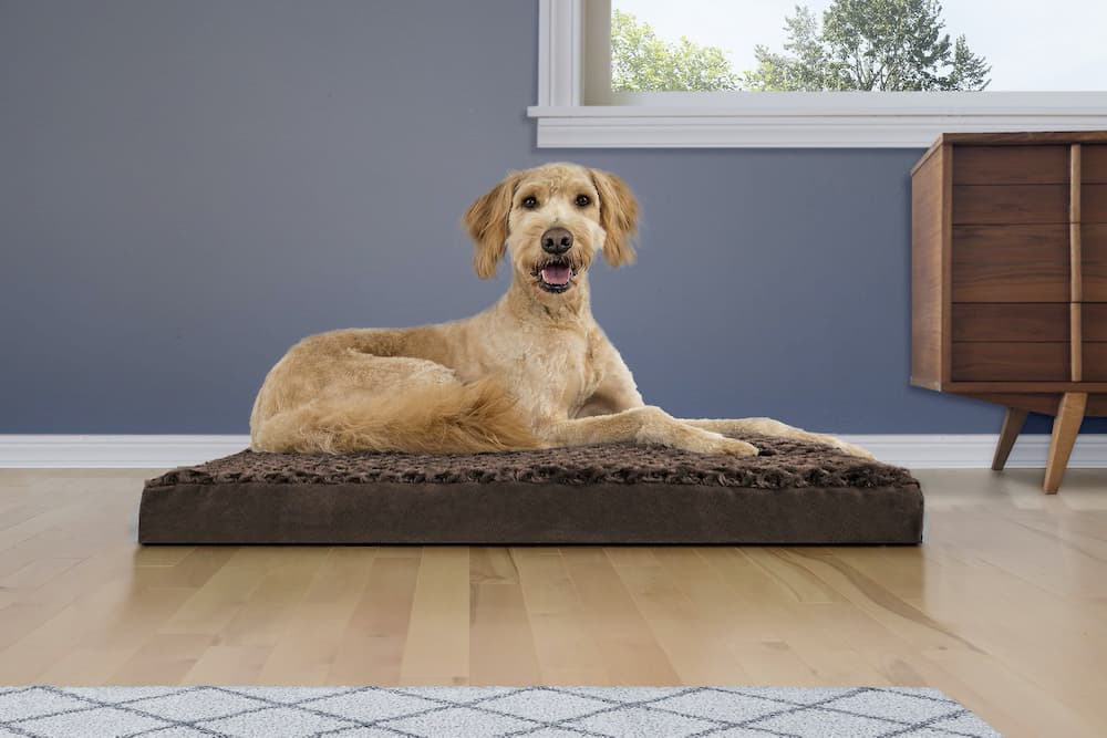 furhaven-orthopedic-dog-bed