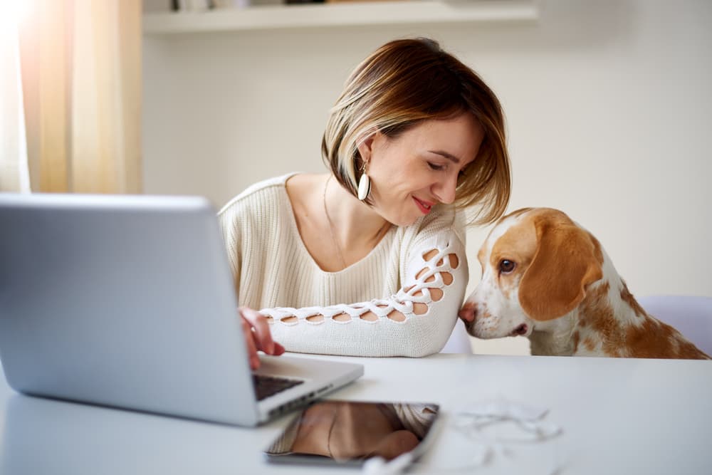 Woman looking for dog crate on laptop