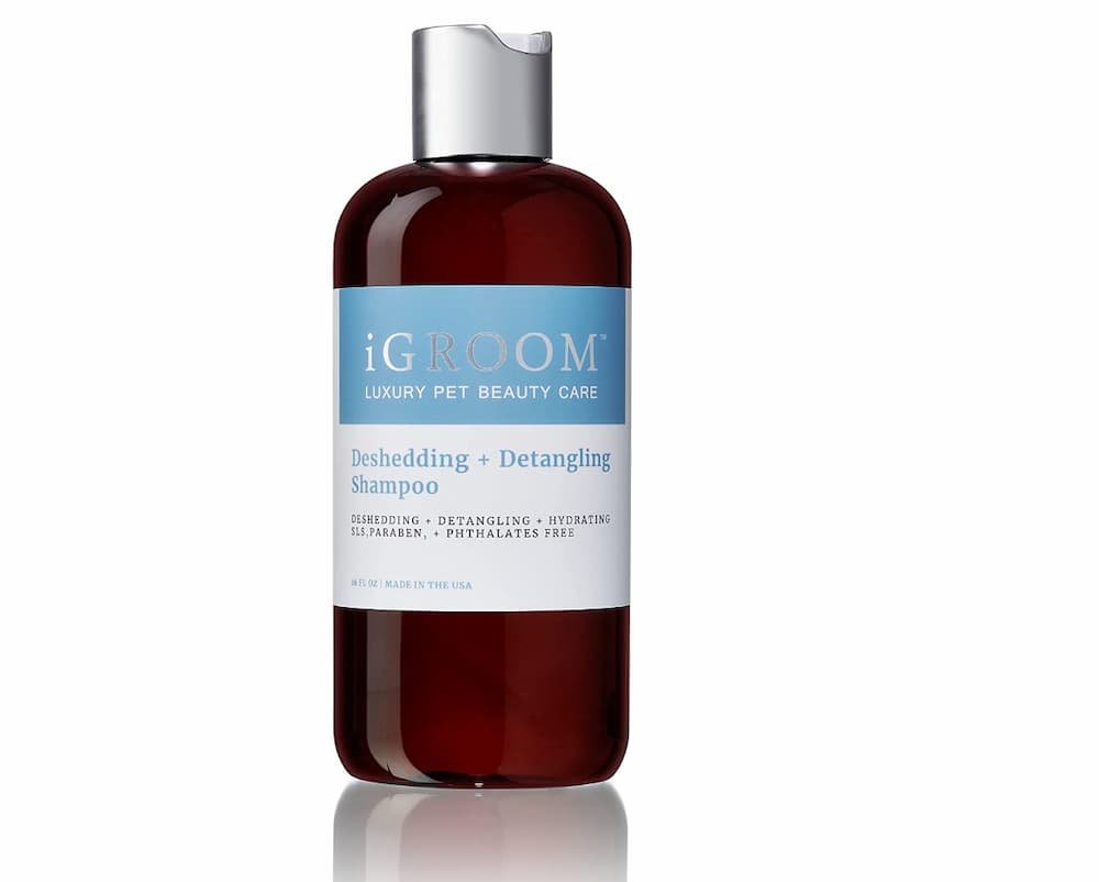 iGroom Deshedding & Detangling Dog Shampoo