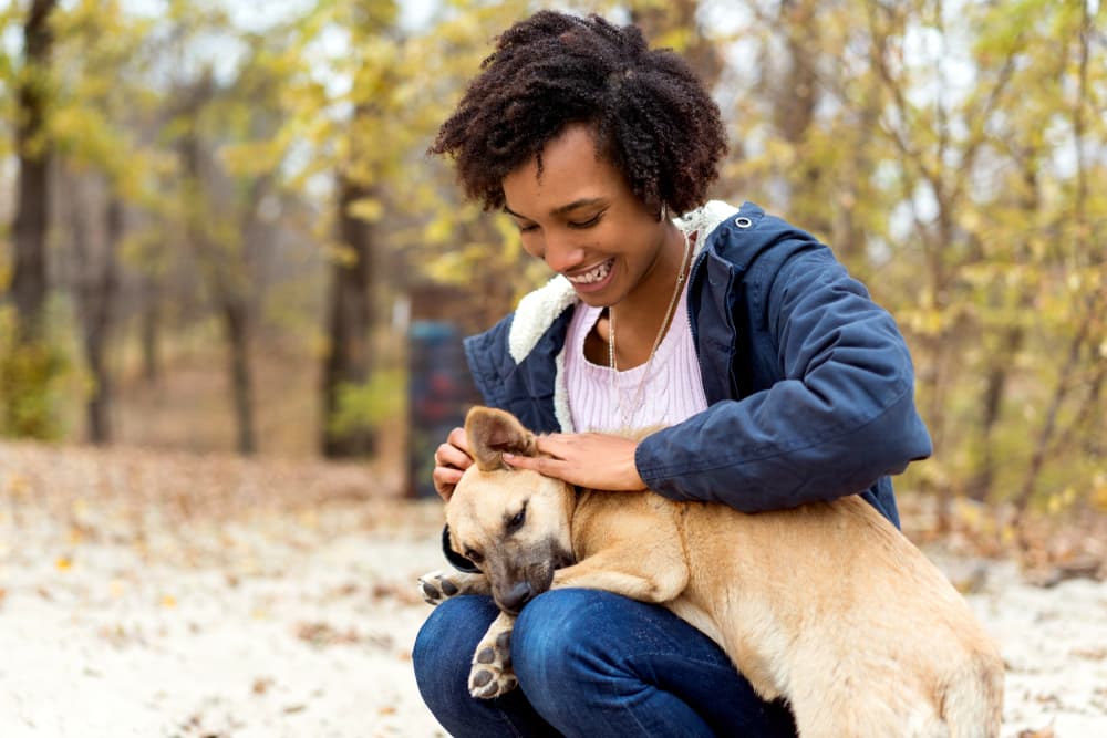 Dog with owner outside giving them a treat