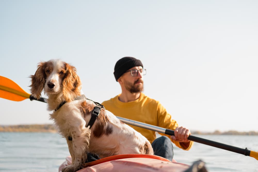 Man kayaking with a dog on lake