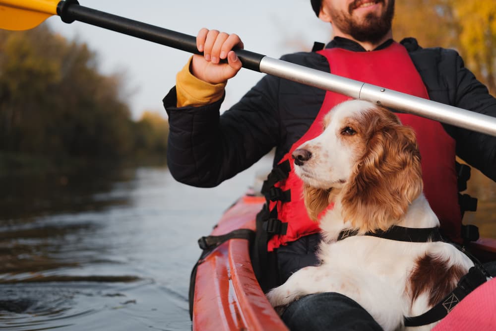 Man in kayak with his dog