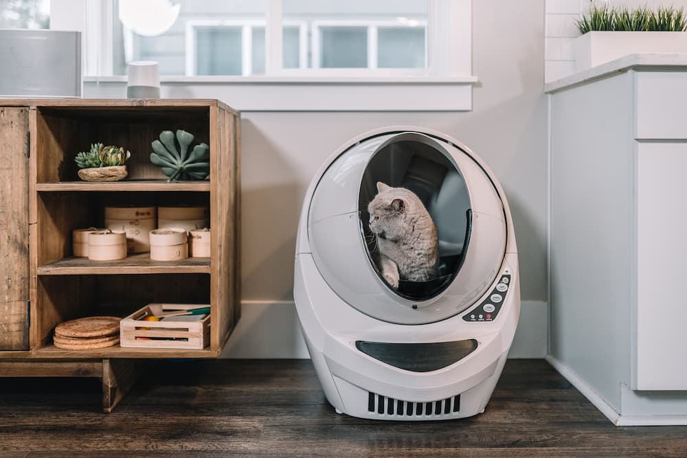 whisker litter-robot review putting it to the test