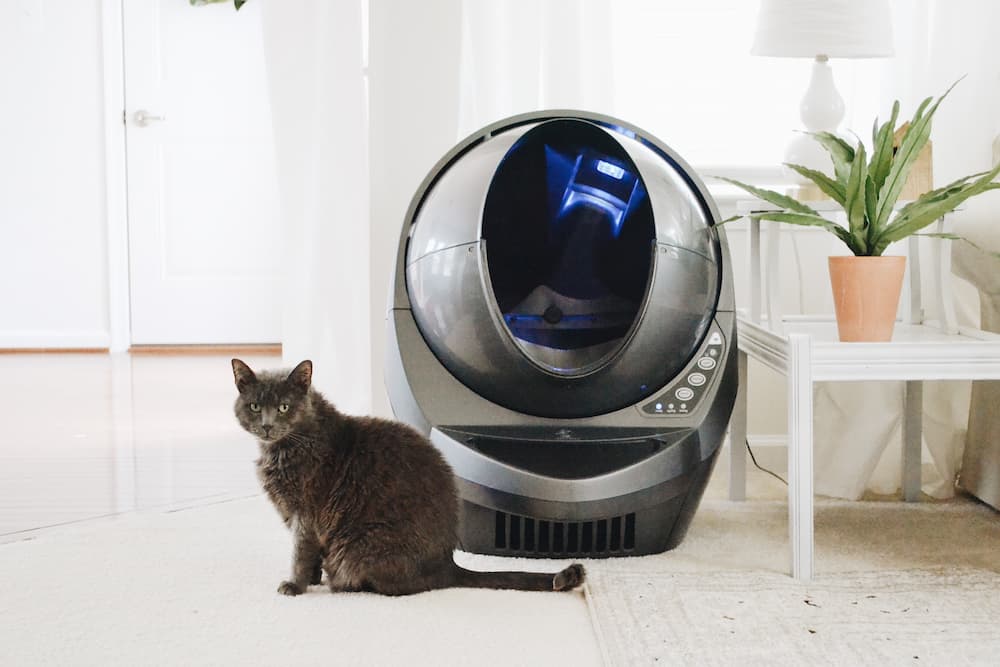 Litter robot sitting in home with cat