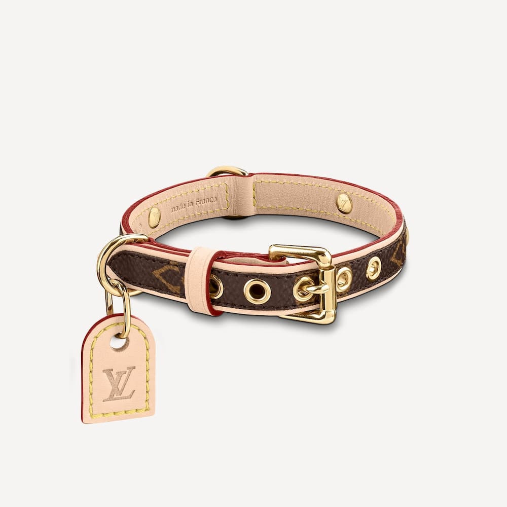 Louis Vuitton Dog Collar and Leash with Metal LV Accessory