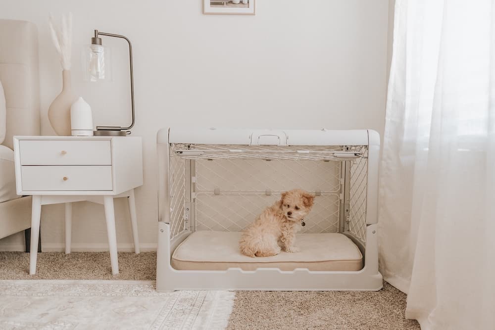 All-in-one grooming table with a - Impact Dog Crates