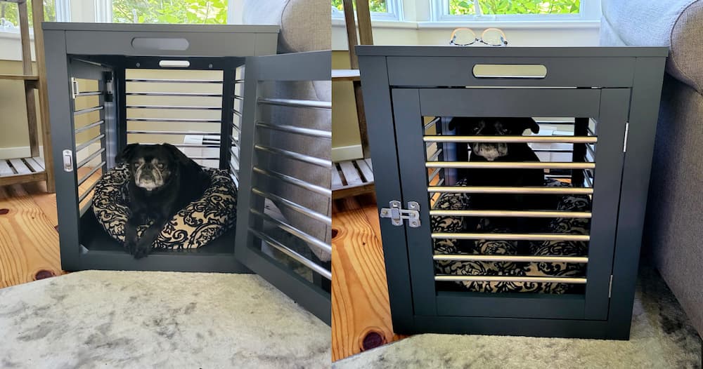 Moderno dog crate review author photo 1