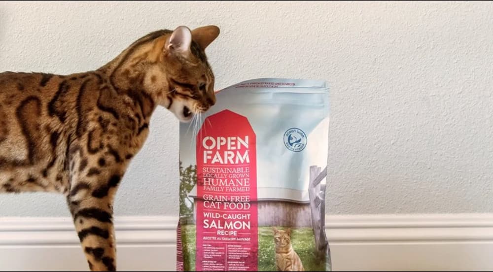 Open Farm cat food