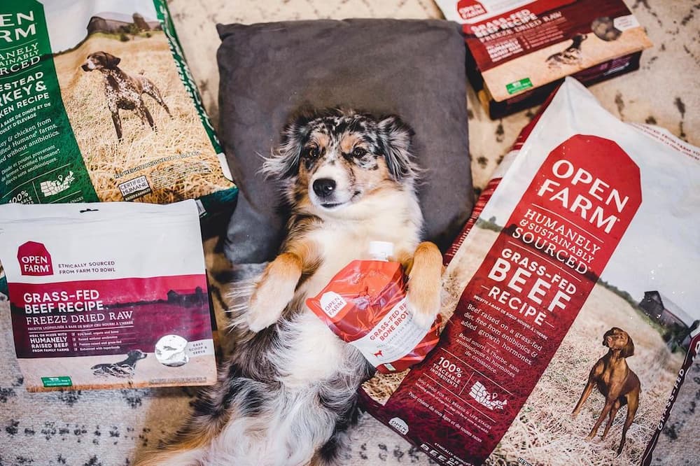 Open Farm Pet Food Review: Premium Nutrition, Ethically Sourced