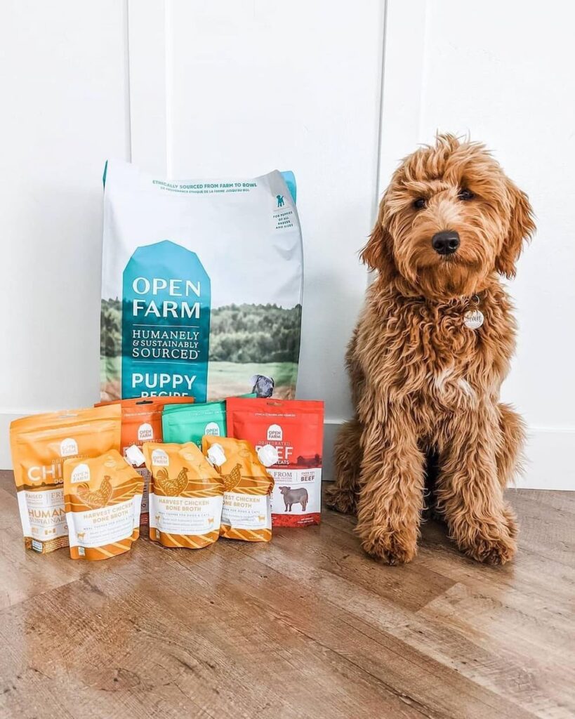 Open Farm products with dog